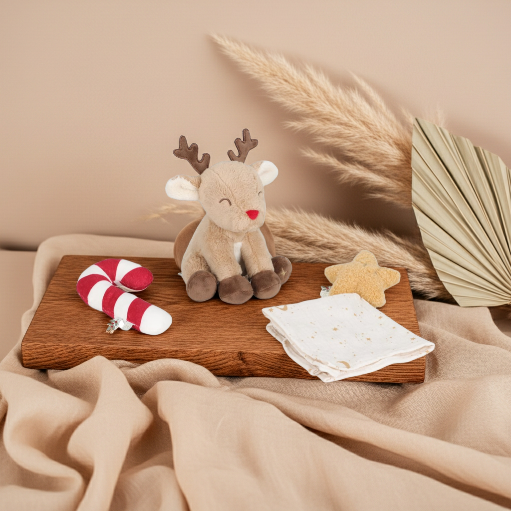 Christmas Gift Set for Newborns GRS | Little Dutch