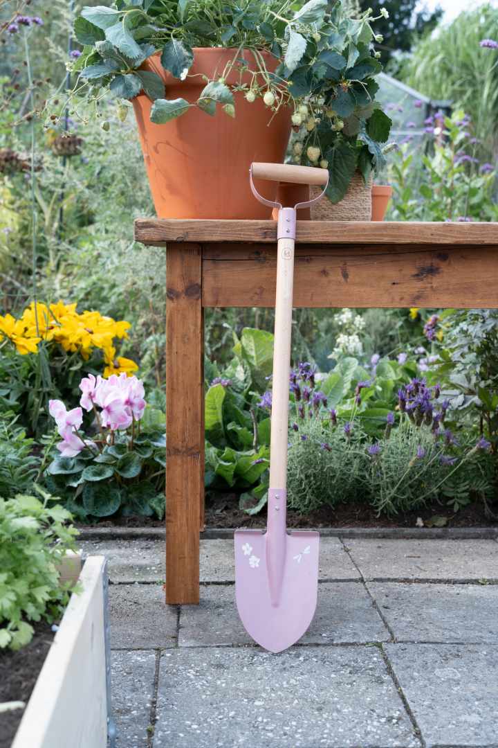 Shovel Fairy Garden